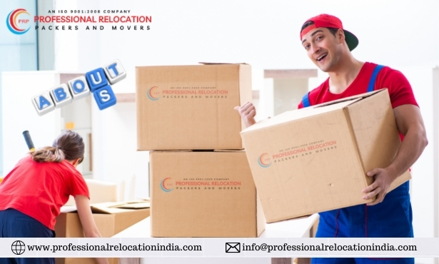 Professional Packers and Movers