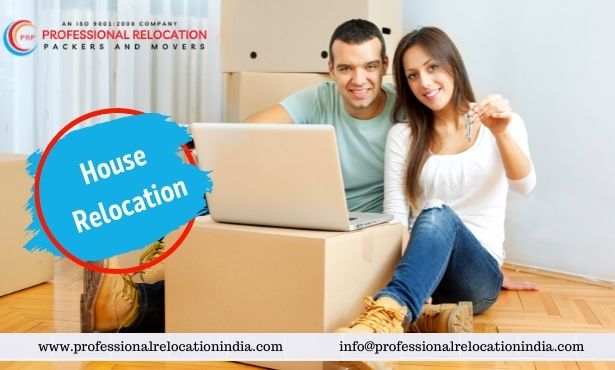 packing and moving services